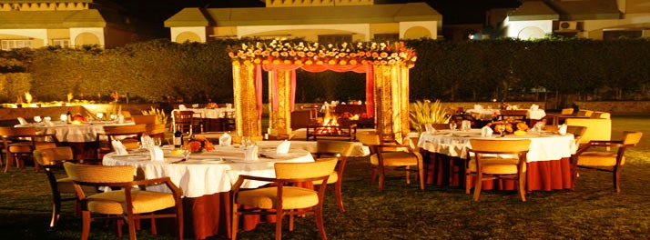 2286/Treehouse Hotel Club & Spa - Bhiwadi 11.jpg